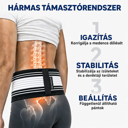 Gerinctámasz